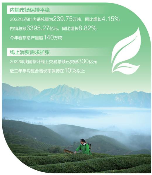 河南富硒普洱茶供应商