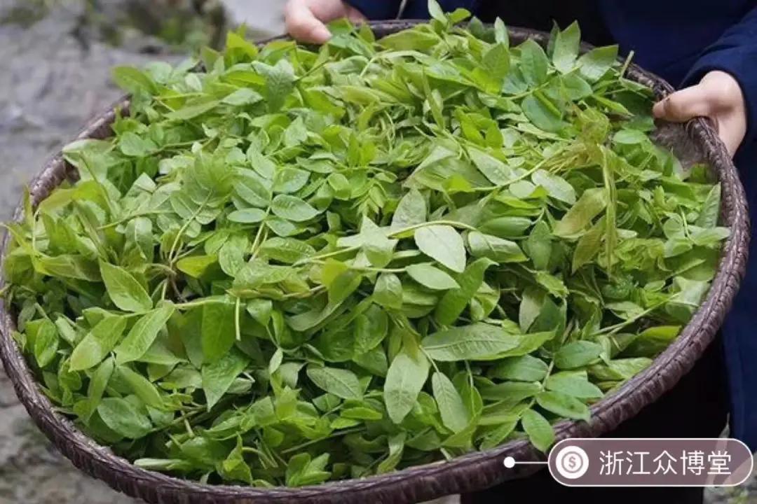 富硒血通茶能降血糖吗