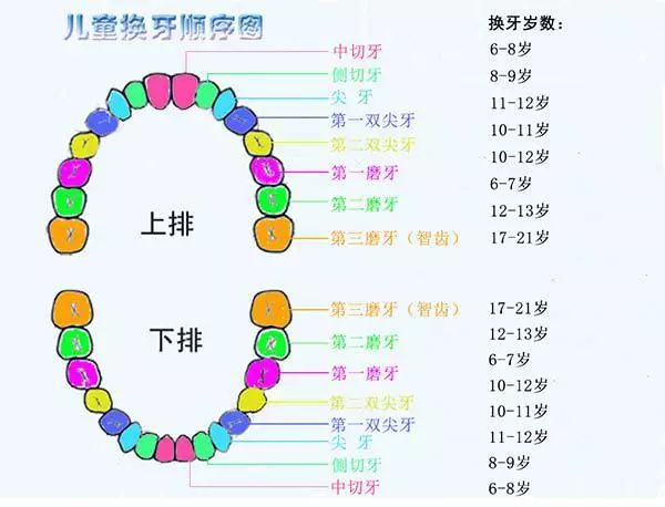 儿童换牙期间需要补钙吗