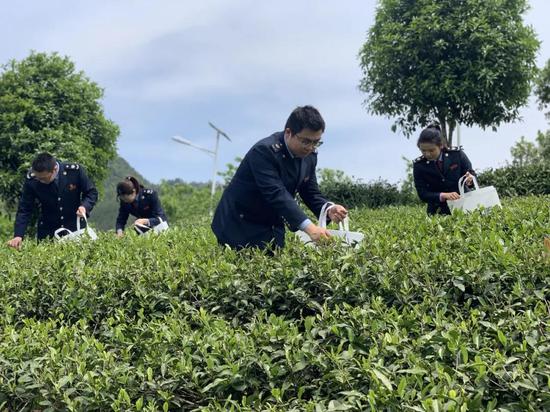 万源富硒茶与精准扶贫