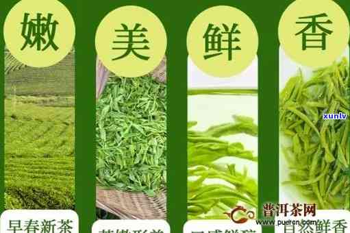 富硒茶属于什么茶类-富硒茶属于什么茶类