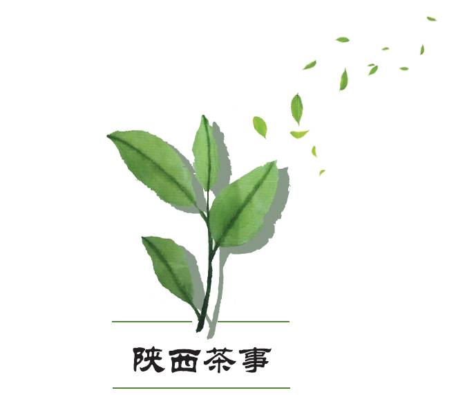 云南富硒八仙茶哪里买