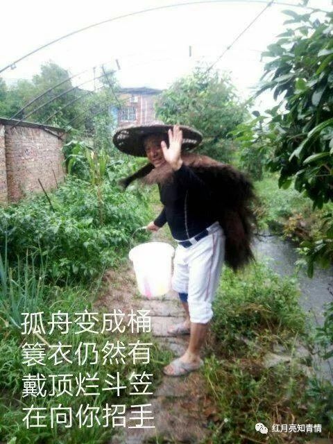 小狗啃石头喂什么微量元素