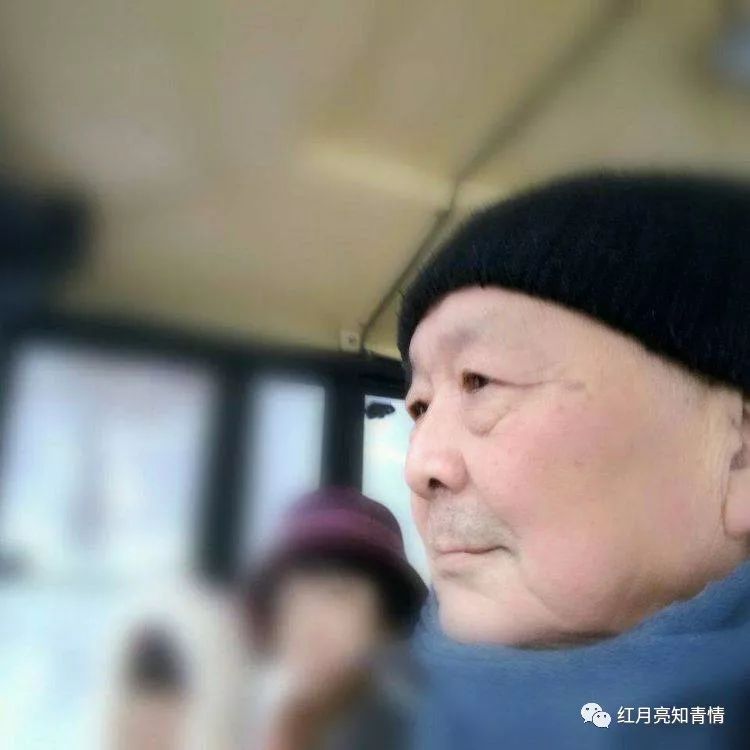 小狗啃石头喂什么微量元素