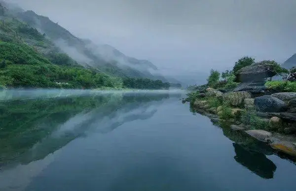 石台县富硒茶哪里有卖