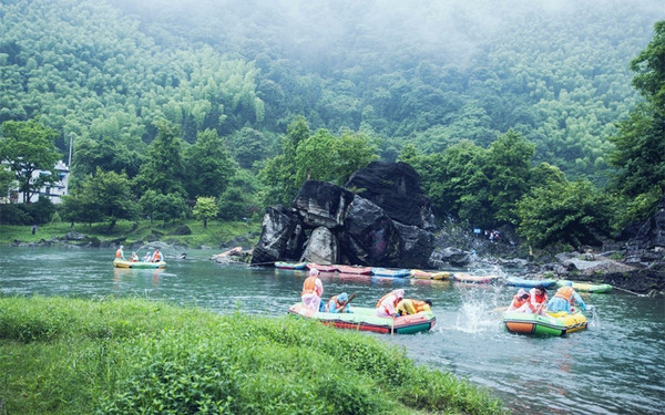 珂田仙寓山富硒茶安徽