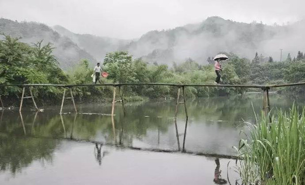 珂田仙寓山富硒茶安徽