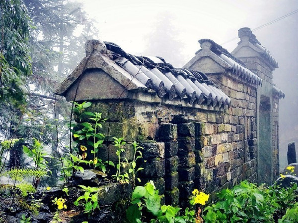 珂田仙寓山富硒茶安徽