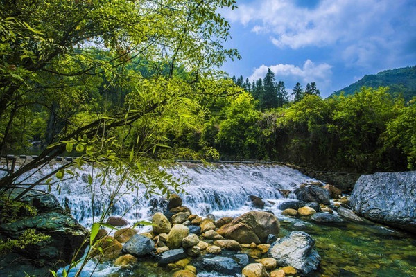 珂田仙寓山富硒茶安徽