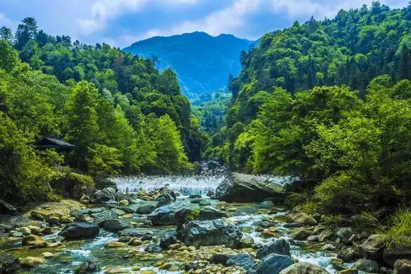 珂田仙寓山富硒茶安徽