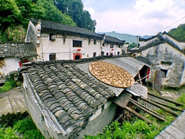 珂田仙寓山富硒茶安徽