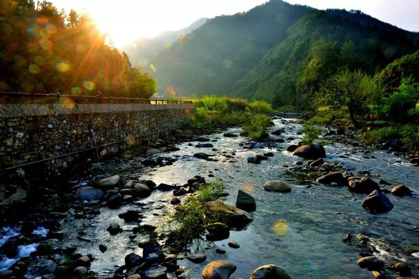 珂田仙寓山富硒茶安徽