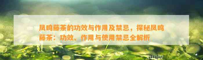 凤鸣藤茶的功效与作用及禁忌，探秘凤鸣藤茶：功效、作用与采用禁忌全解析