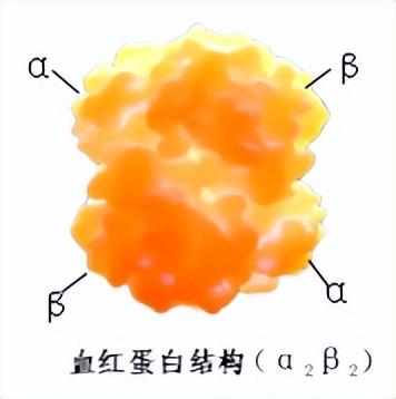 轻型地贫补铁会加重吗