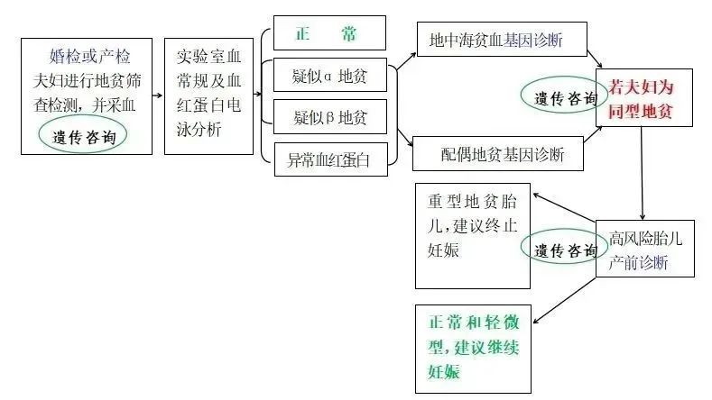 轻型地贫补铁会加重吗