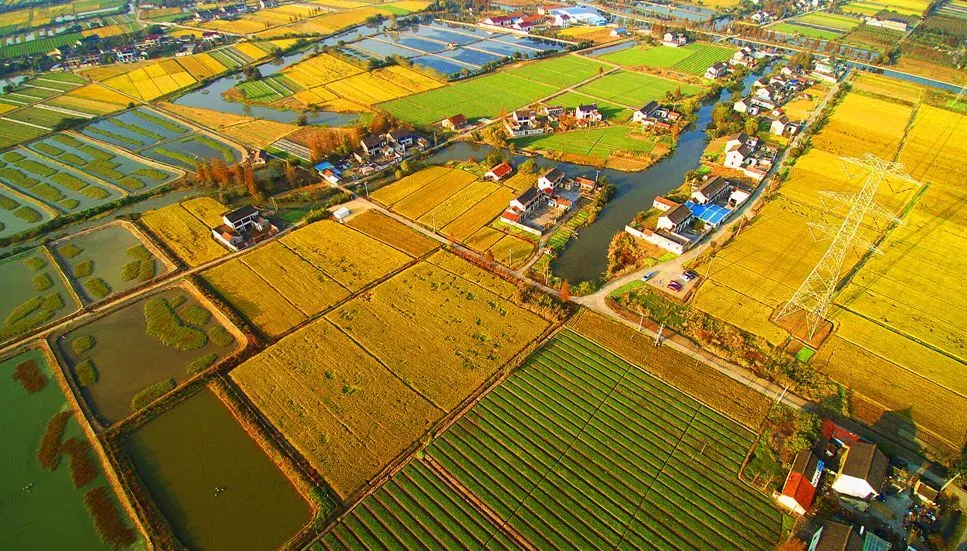 富硒大米示范基地建设