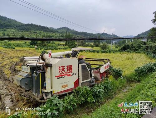 宜春温汤硒品富硒大米