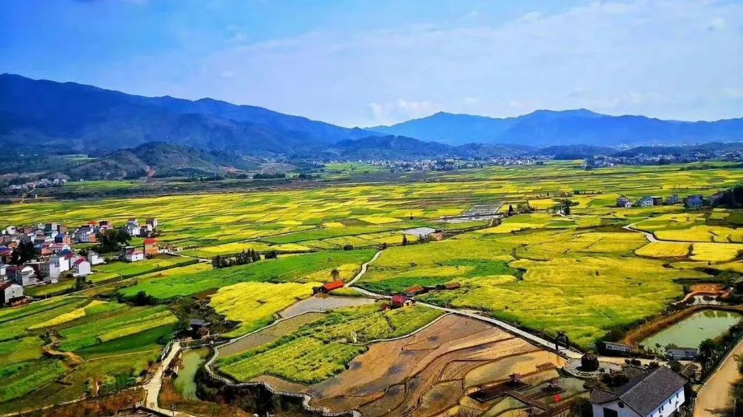 京山富硒大米产自哪里