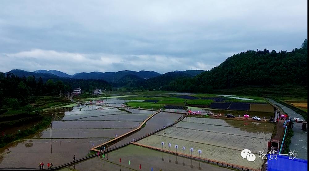 富硒大米产地湖北恩施