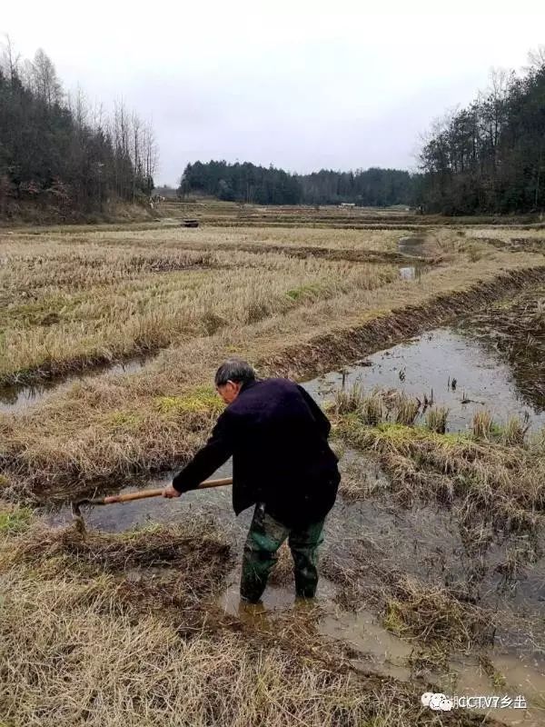 富硒大米产地湖北恩施