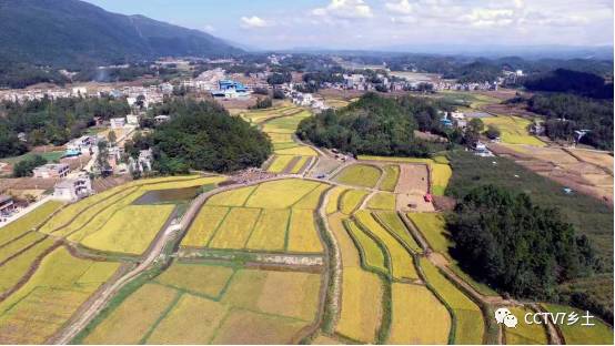 富硒大米产地湖北恩施