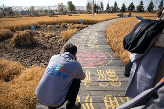 周杰东北农场富硒大米