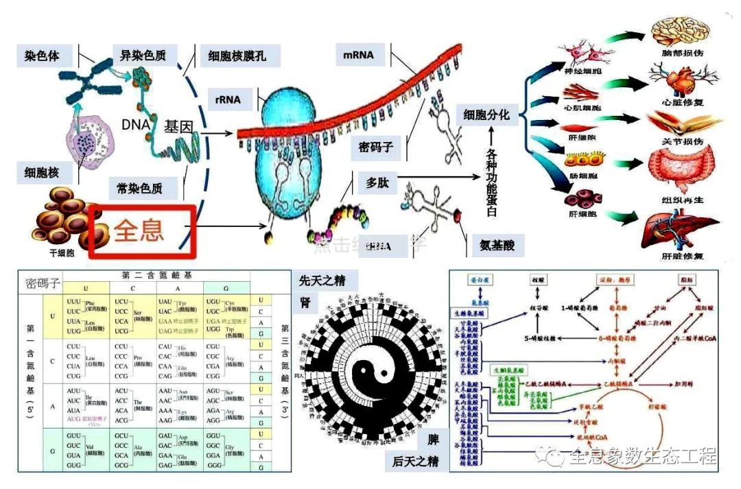 富硒大米比例多少合适