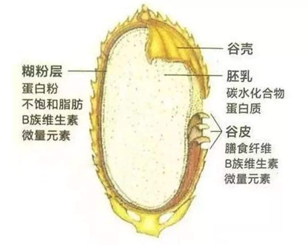 富硒大米比例多少合适