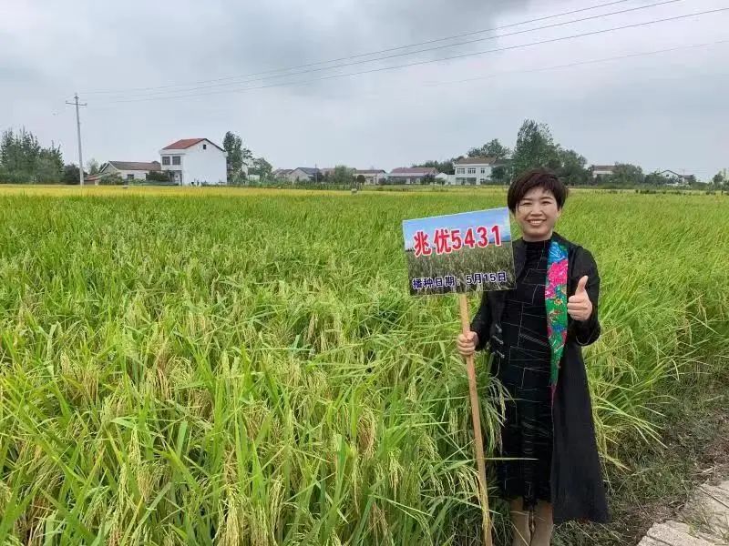 湖南公共富硒大米频道