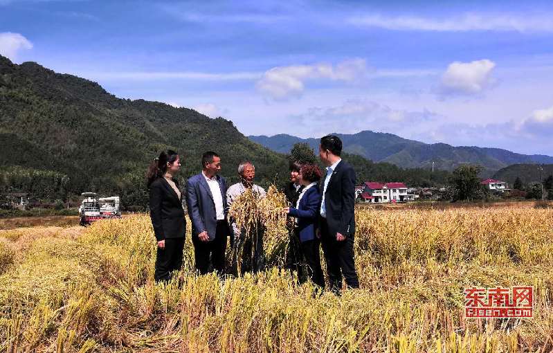 福建光泽寨里富硒大米