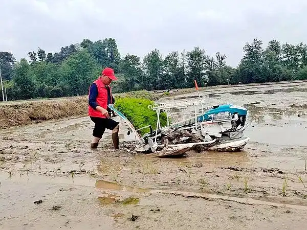 重庆涪陵龙潭富硒大米