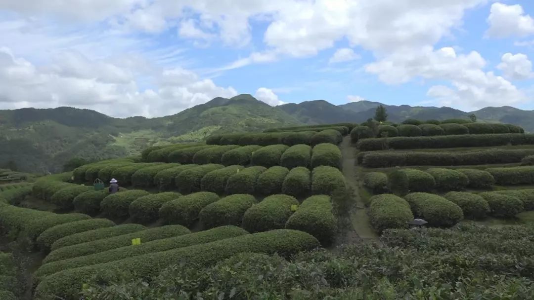 富硒大米种植生产企业