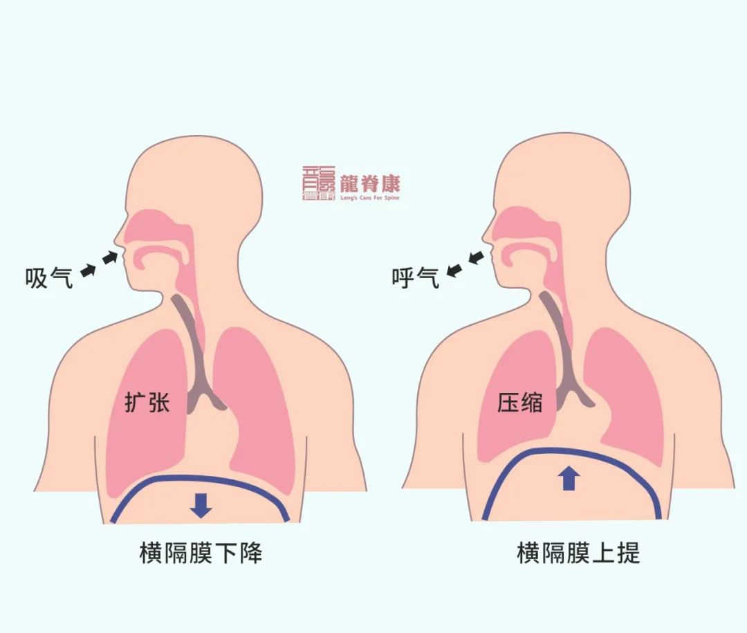 微量元素报告单图片