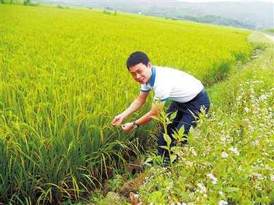 生态富硒大米 乡意浓