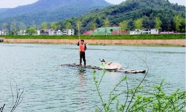 樟树哪里有卖富硒大米