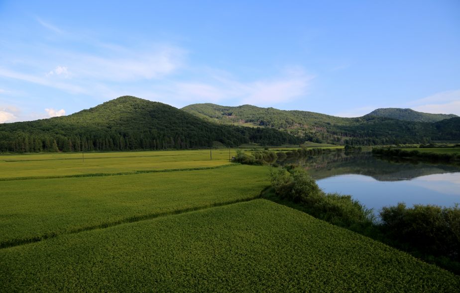 销售假富硒大米违法吗