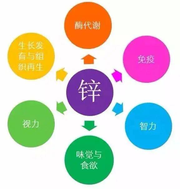 什么可以补锌