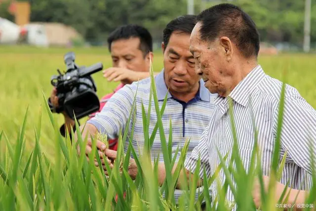 富硒大米南方能种植吗