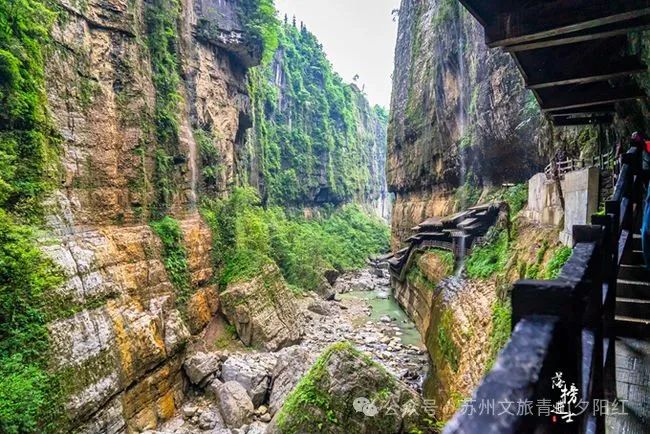 湖北恩施景阳富硒大米