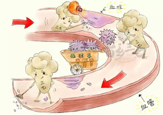 血液微量元素检查包括哪些