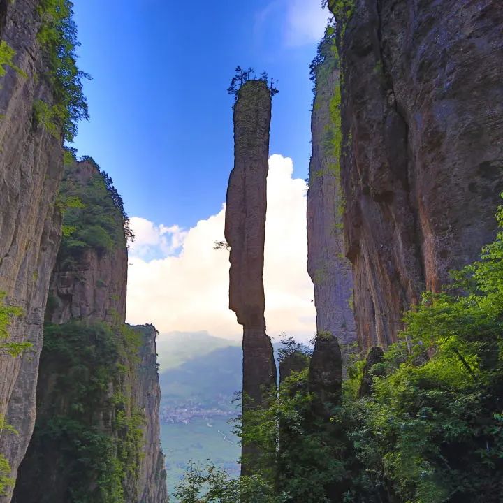 湖北恩施景阳富硒大米