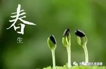 三个月的宝宝可以补钙吗