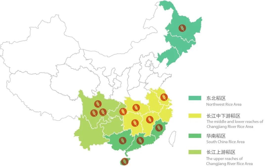 安徽产富硒大米的地方