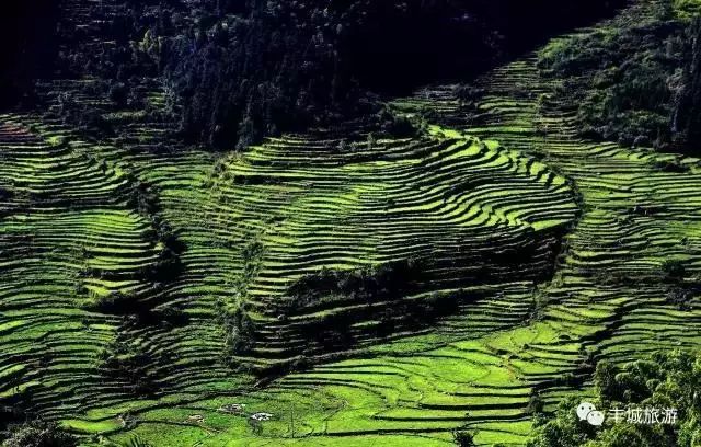 江西丰城丰城富硒大米