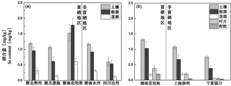 富硒大米江苏能种植吗