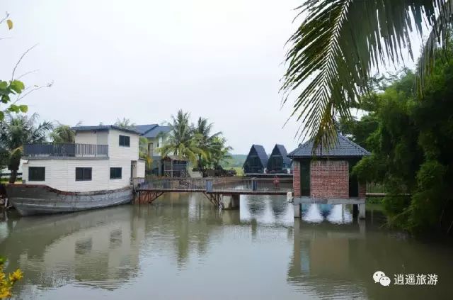 富硒大米在什么地方买