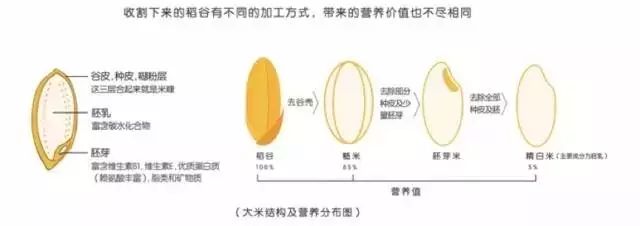 东北富硒大米生产厂家