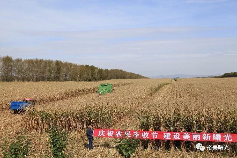 北大荒农场里富硒大米