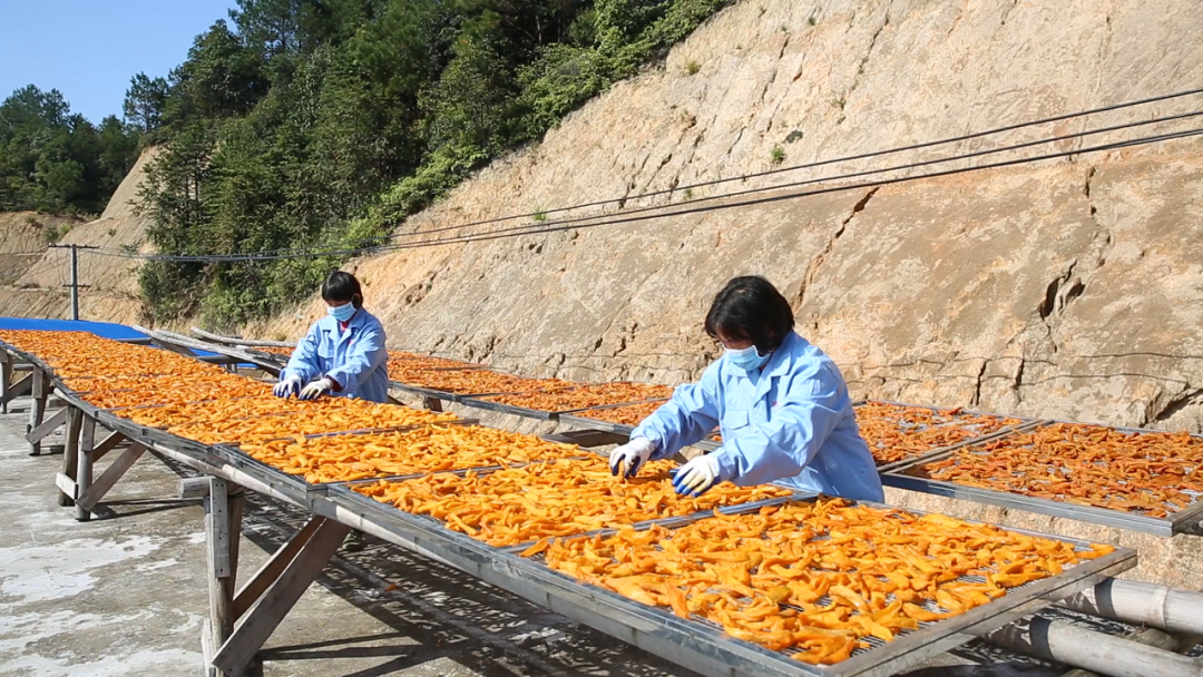 寻乌县菖蒲乡富硒大米