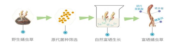 富硒大米能不能泡水喝